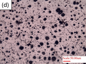 Microstructure D
